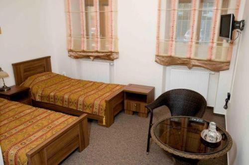 Hotel Satyam Brno Bilik gambar